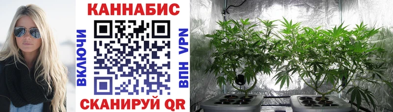 Бошки марихуана VHQ  Верещагино 